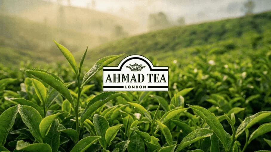 AHMAD TEA