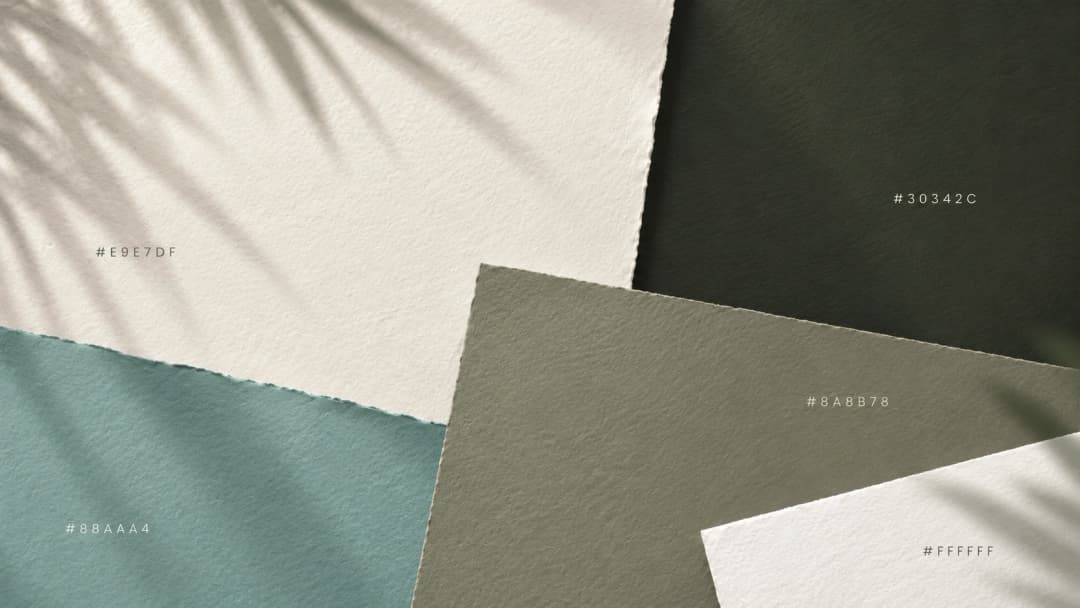 NOVO color palette